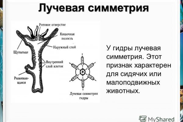 Омг омг ссылка телеграм